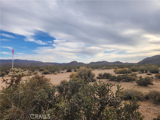 Detail Gallery Image 15 of 23 For 4147 Sunburst St, Joshua Tree,  CA 92252 - – Beds | – Baths