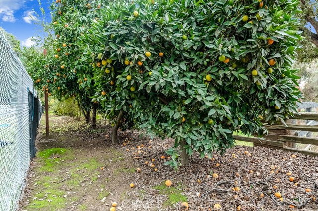 18701 Lort Drive, Visalia CA: https://media.crmls.org/medias/bdbf48f4-12cf-4a04-ac8b-0de65467bacf.jpg