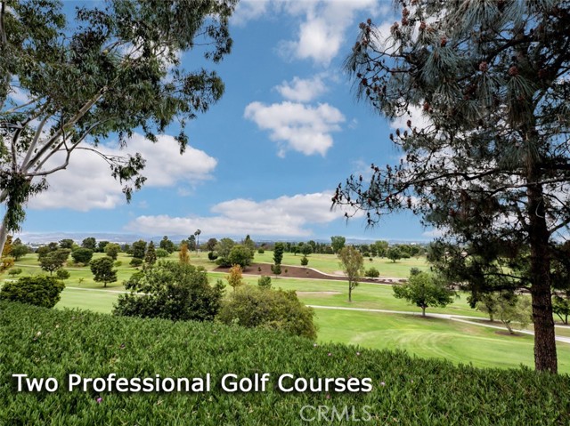 Detail Gallery Image 42 of 60 For 2220 E via Mariposa East #H,  Laguna Woods,  CA 92637 - 2 Beds | 1 Baths