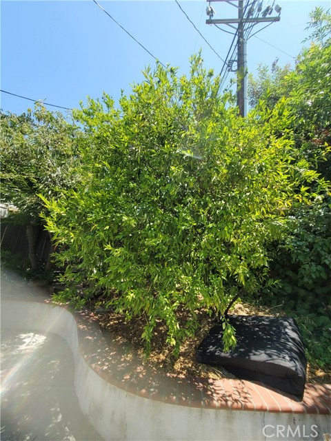 3030 E Valley View Avenue, West Covina CA: https://media.crmls.org/medias/bdc819da-da52-414a-b924-748f40af670e.jpg