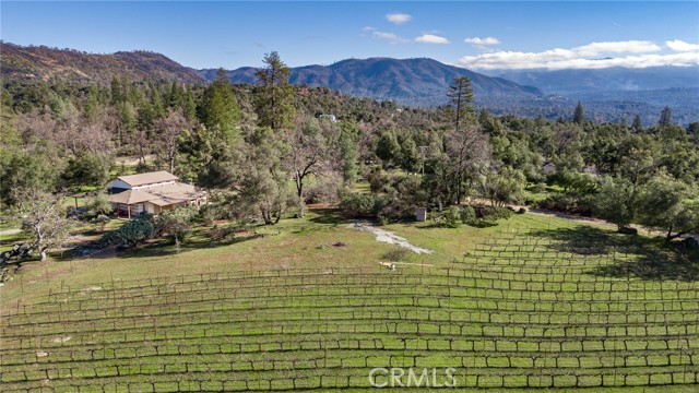 Detail Gallery Image 53 of 70 For 4683 Morningstar Ln, Mariposa,  CA 95338 - – Beds | – Baths