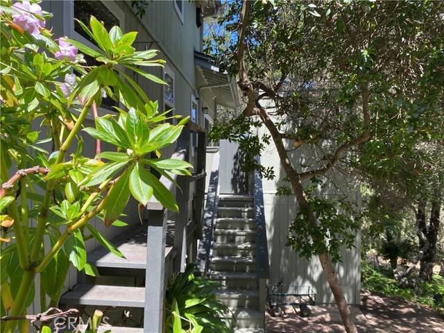 Detail Gallery Image 45 of 54 For 2598 Emerson Rd, Cambria,  CA 93428 - 2 Beds | 2 Baths