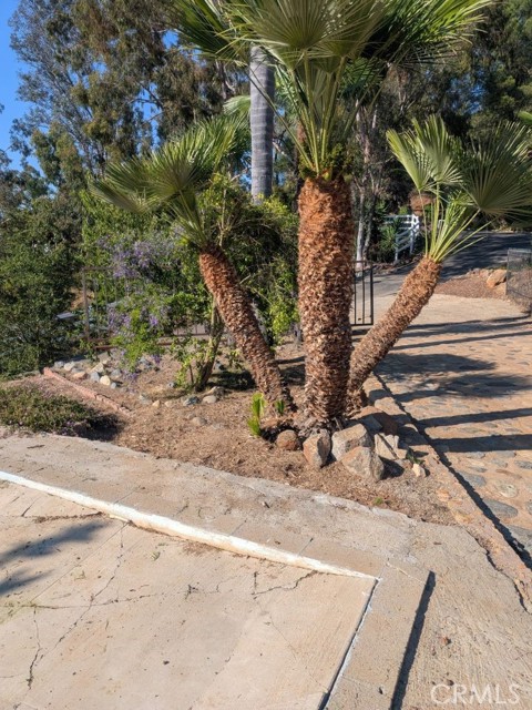4287 Rosa Rancho Lane, Fallbrook CA: https://media.crmls.org/medias/bdd26623-03f6-440e-aeeb-1b8794e485de.jpg