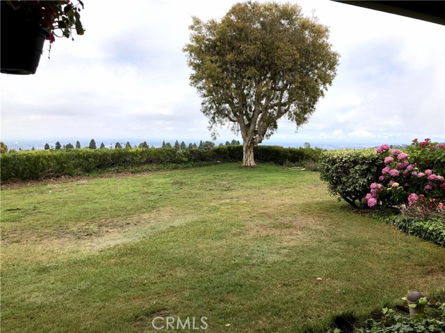 View from Master Bedroom Patio
