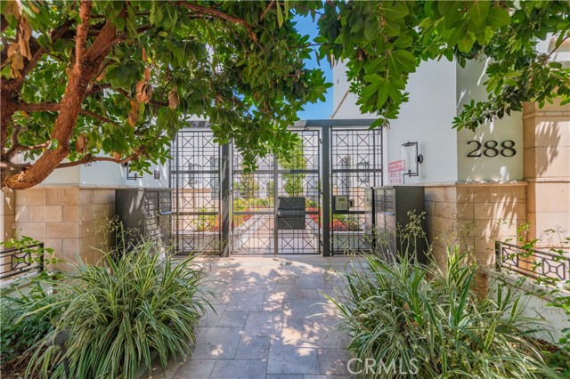 288 S Oakland Ave, Pasadena CA: https://media.crmls.org/medias/bddc4b35-de78-4de2-8ec0-93383874927f.jpg