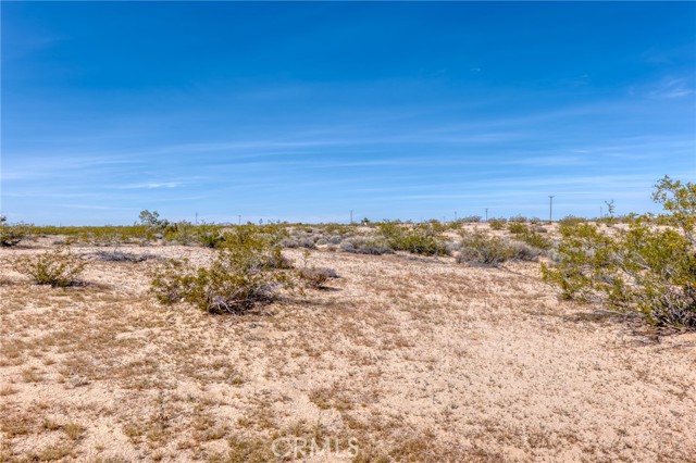 Detail Gallery Image 17 of 75 For 66270 Brants Cross, Joshua Tree,  CA 92252 - 4 Beds | 1 Baths