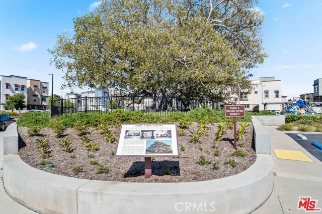 Detail Gallery Image 53 of 55 For 614 Daniel Freeman Circle, Inglewood,  CA 90301 - 3 Beds | 3/1 Baths