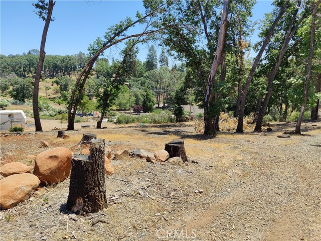 476 Green Oaks Drive, Paradise, California 95969, ,Land,For Sale,476 Green Oaks Drive,CRSN24010118