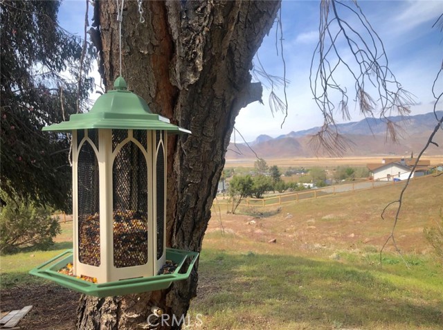 Detail Gallery Image 18 of 59 For 3712 Piute Hill Rd, –,  CA 93240 - – Beds | – Baths