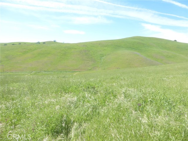 Detail Gallery Image 4 of 42 For 0 Douglas Rd. (Lot 42), San Miguel,  CA 93451 - – Beds | – Baths