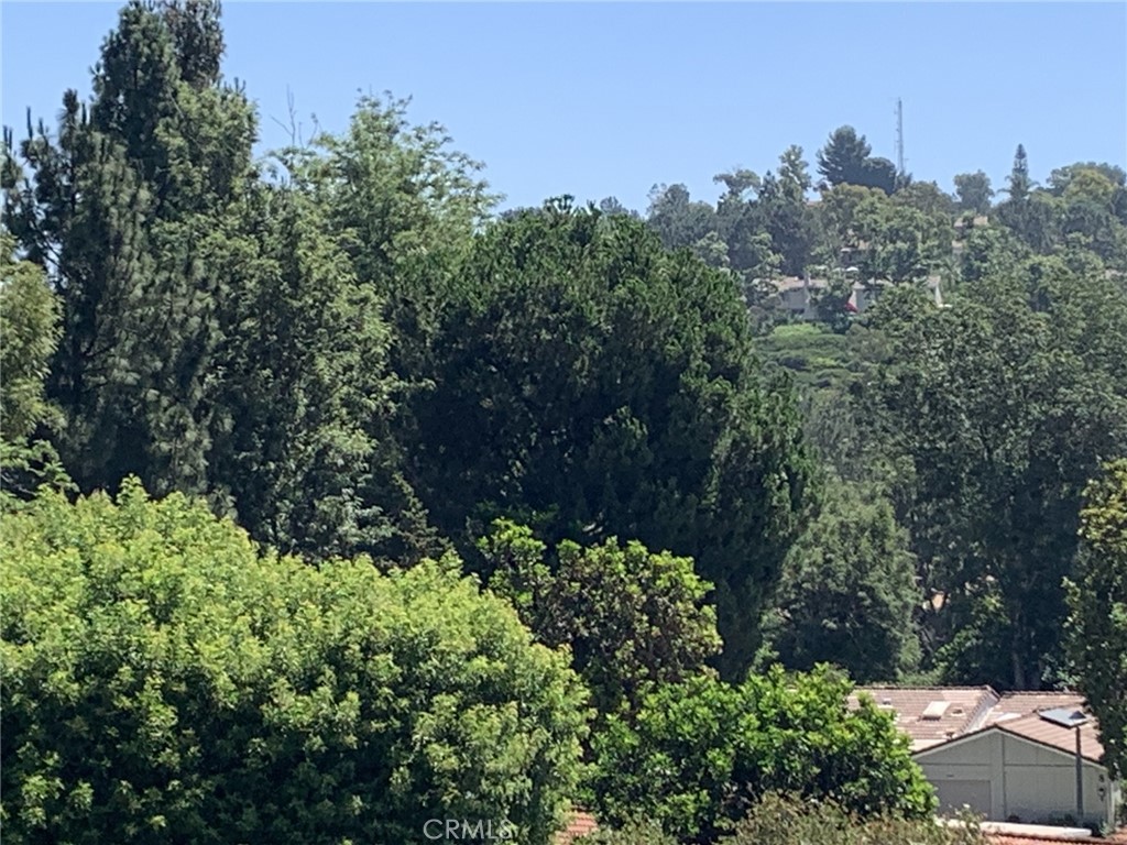https://media.crmls.org/medias/bdf7b223-c77f-45d5-bd82-9adf599245d0.jpg?preset=X-Large