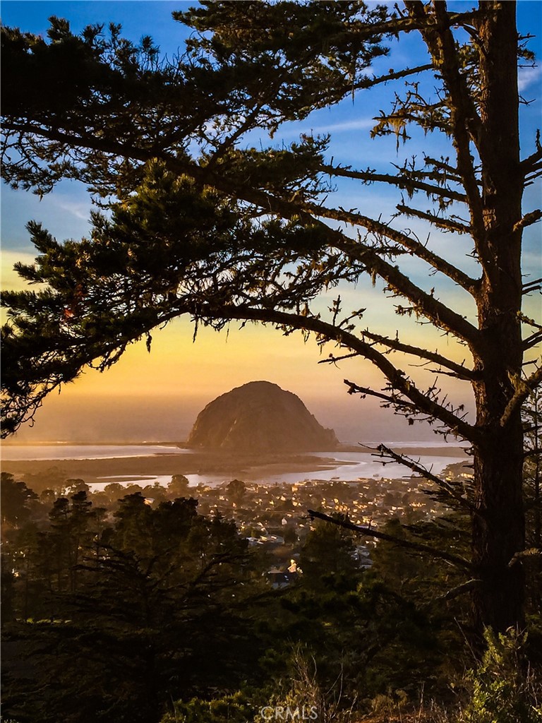 https://media.crmls.org/medias/bdf7f009-8a68-4271-a1b0-6f3946719678.jpg?preset=X-Large