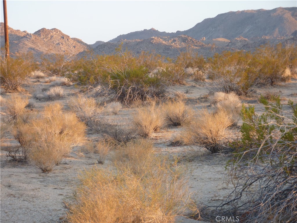 MLS #HD25209365 image #3