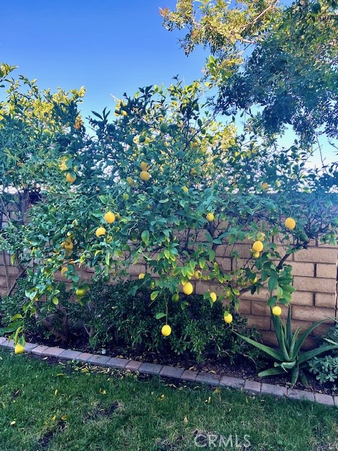 Detail Gallery Image 52 of 62 For 879 Derby, Corona,  CA 92882 - 4 Beds | 3/1 Baths