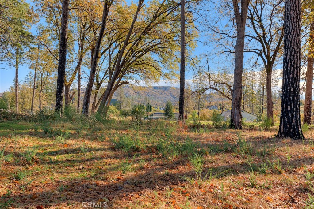 MLS #SN25261904 image #7