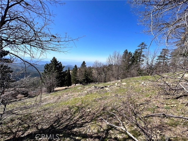 41 Fredalba Road, Running Springs, CA, 92382 41 Fredalba Road, Running Springs, CA, 92382