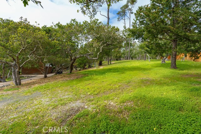 Detail Gallery Image 54 of 60 For 1021 Hillcrest, Cambria,  CA 93428 - 3 Beds | 2/1 Baths