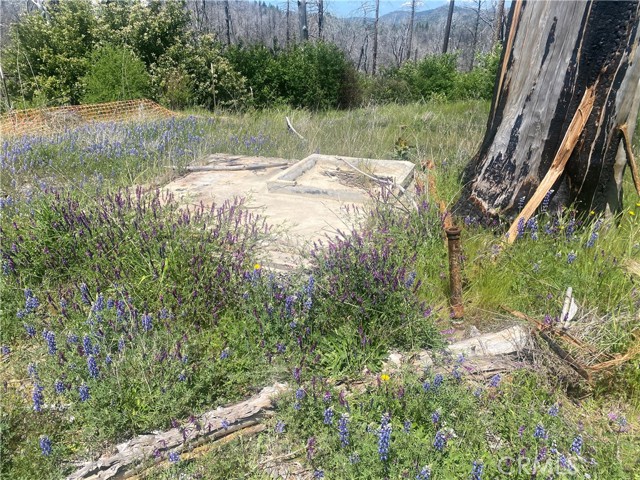 Detail Gallery Image 24 of 24 For 1103 Bald Rock Rd, Berry Creek,  CA 95916 - – Beds | – Baths