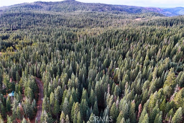 Detail Gallery Image 6 of 17 For 1100 Cleghorn Dr, Quincy,  CA 95971 - – Beds | – Baths