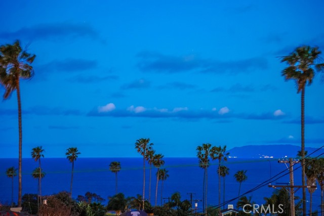 MLS #SB25161555 image #45