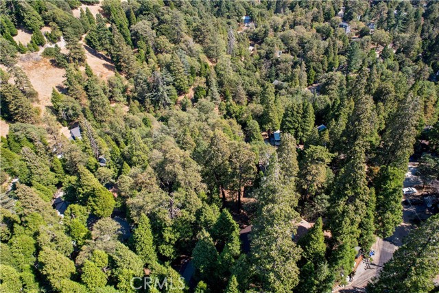 0 Outlook Lane, Crestline, California 92325, ,Land,For Sale,0 Outlook Lane,CRCV24037972