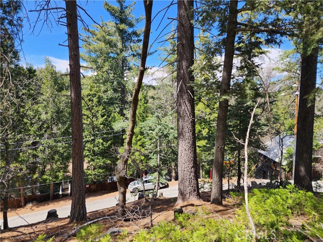 Detail Gallery Image 14 of 24 For 586 Rose, Twin Peaks,  CA 92391 - – Beds | – Baths