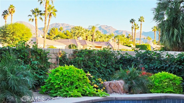 Detail Gallery Image 6 of 44 For 28 White Sun Way, Rancho Mirage,  CA 92270 - 3 Beds | 2/1 Baths