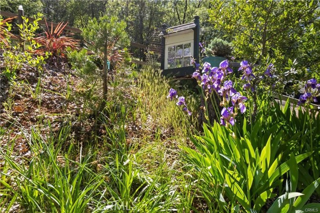 Detail Gallery Image 52 of 53 For 3062 Riviera Heights Dr, Kelseyville,  CA 95451 - 3 Beds | 2 Baths