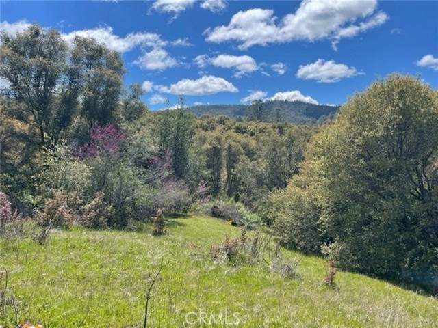 Detail Gallery Image 11 of 14 For 0 77.73 Ac Two Hills Rd, North Fork,  CA 93643 - – Beds | – Baths