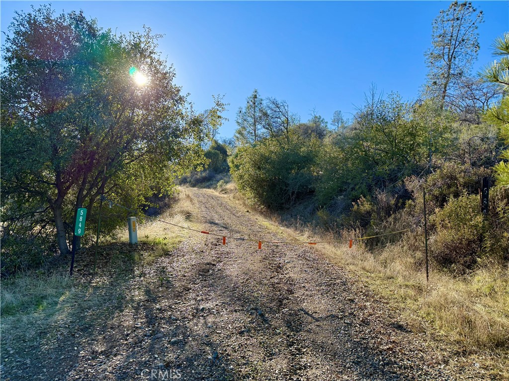 MLS #MP24255833 image #31