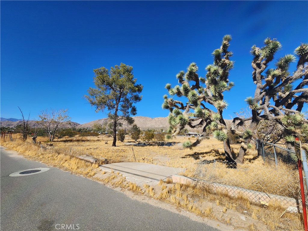 MLS #HD25223548 image #2