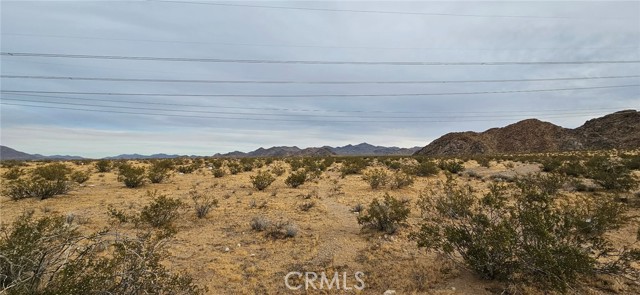 Detail Gallery Image 6 of 8 For 800 Powerline Rd, Lucerne Valley,  CA 92356 - – Beds | – Baths