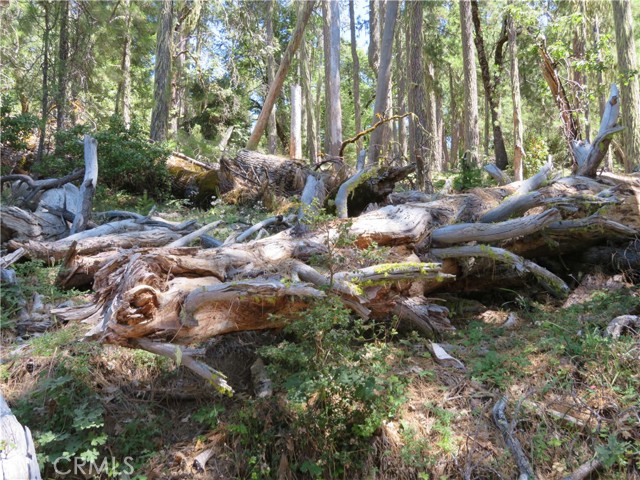 Detail Gallery Image 7 of 31 For 0 Barns Ranch Rd, Covelo,  CA 95428 - – Beds | – Baths