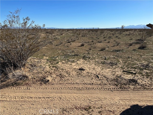 Detail Gallery Image 1 of 3 For 2 Wilson Ranch Rd, Adelanto,  CA 92301 - – Beds | – Baths