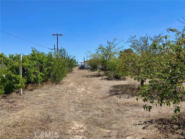 9582 Buttemere Road, Phelan CA: https://media.crmls.org/medias/be46bb6b-3753-4c80-ae16-5cea4df35380.jpg