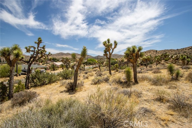 8385 Elk Court, Yucca Valley CA: https://media.crmls.org/medias/be4debd9-f387-4a5b-b3fa-b9cf45f02b46.jpg