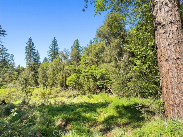 Detail Gallery Image 11 of 42 For 22666 Lower Quail Mine Rd, Sonora,  CA 95370 - 2 Beds | 1 Baths