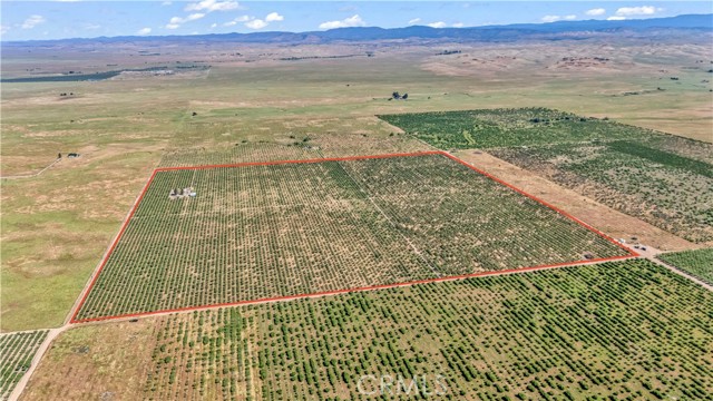 Detail Gallery Image 9 of 20 For 0 Buchanan Hollow Rd, Le Grand,  CA 95333 - – Beds | – Baths