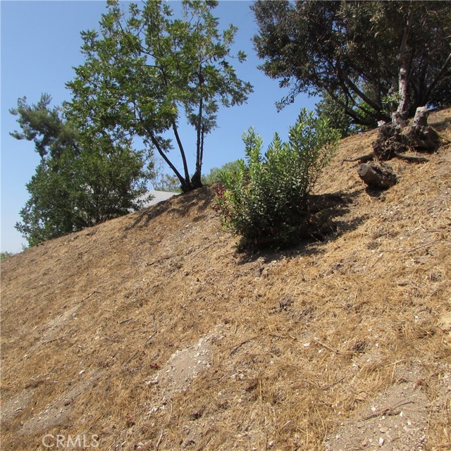 Detail Gallery Image 20 of 41 For 3637 Tacoma, Mount Washington,  CA 90065 - – Beds | – Baths