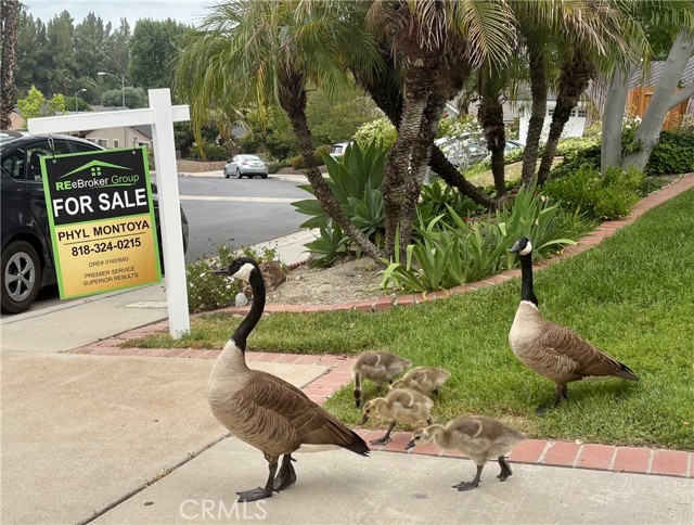 8373 Denise Lane, West Hills CA: https://media.crmls.org/medias/be780796-52dc-4f7e-9c5d-4fc970eb3c02.jpg