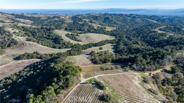 Detail Gallery Image 29 of 36 For 0 Adelaida Road, Paso Robles,  CA 93446 - – Beds | – Baths