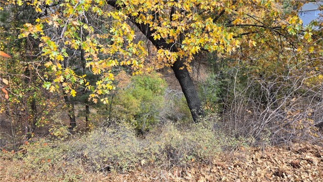 Detail Gallery Image 3 of 19 For 1000 Butte Ave, –,  CA 92314 - – Beds | – Baths