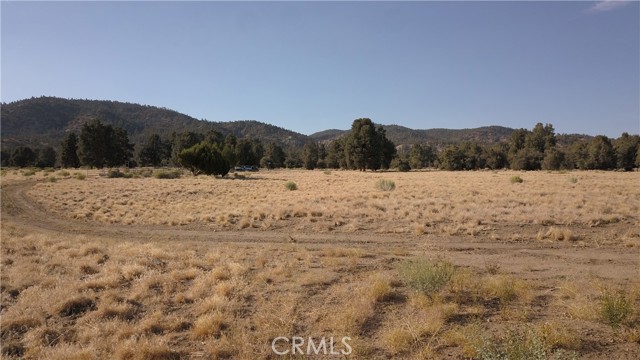 16469 Curtis Trail, Frazier Park CA: https://media.crmls.org/medias/be858076-6008-41e8-a41c-c4ef5d3bf5d5.jpg