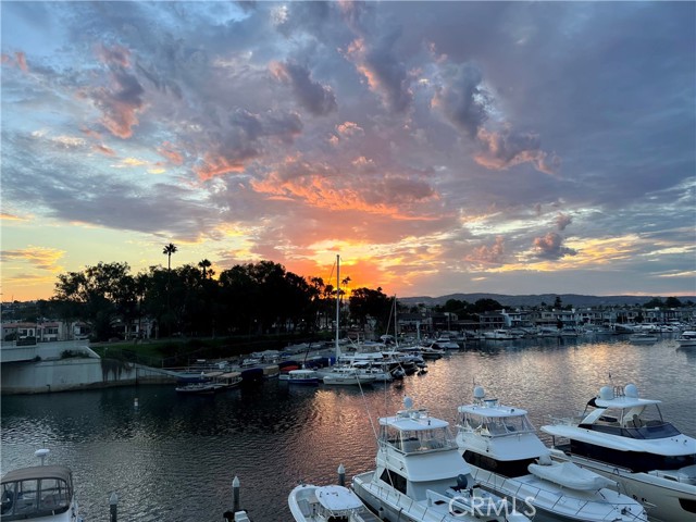 Be8f48d5 3cb3 4986 Aa46 E239f705f055