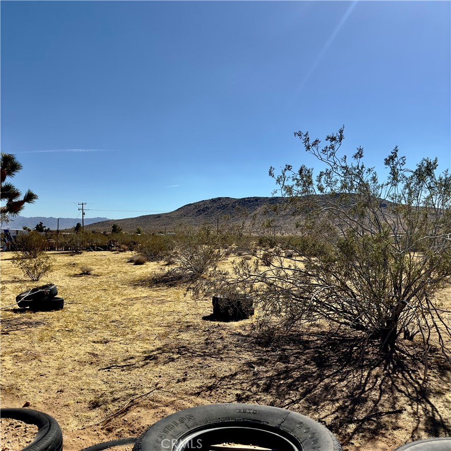 MLS #JT23207512 image #31