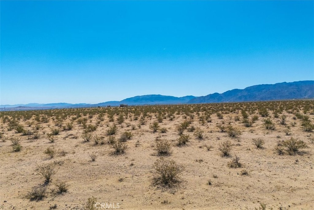 MLS #JT25225678 image #28