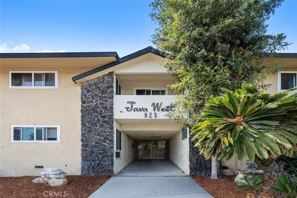 823 Java Avenue #11