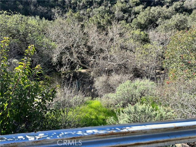 31216 Silverado Canyon Road, Silverado Canyon, California 92676, ,Land,For Sale,31216 Silverado Canyon Road,CRLG22201134