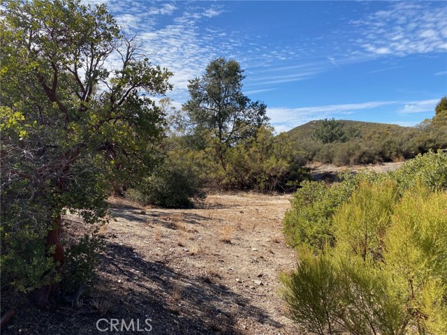 Detail Gallery Image 6 of 48 For 62000 Indian Hill Rd, Mountain Center,  CA 92561 - 3 Beds | 3 Baths