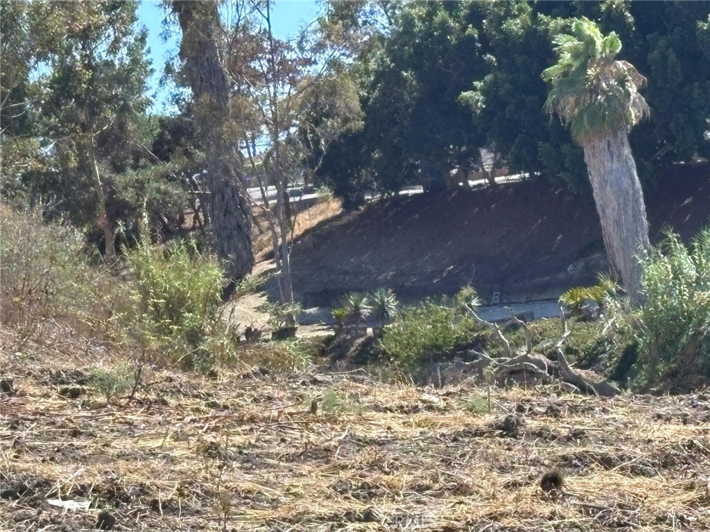 1937 Sunset Drive - photo 13